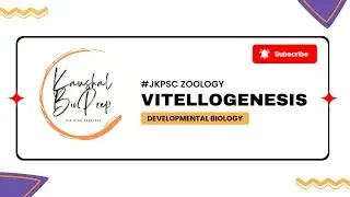 JKPSC Zoology Developmental Biology Lecture (3) VITELLOGENESIS