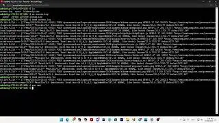 [AR] SadServers: Counting IPs! - 2