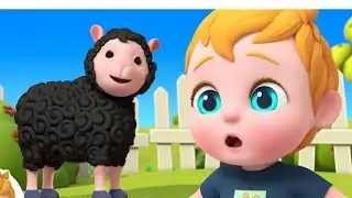 Daddy Sheep Daddy Sheep Where are you? | Nursery Rhymes & Kids Song