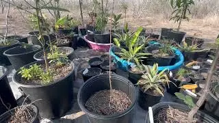 Nursery your pt.1