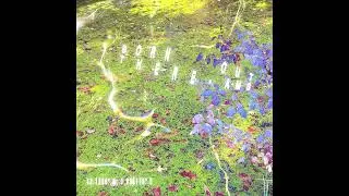 Ams - PWNS (Pyrenean Water Never Sleeps)