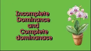 Incomplete dominance and co-dominanace| Genetics| Part 3| NEET 2026|#komalgarg #neet2026 #genetics 