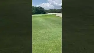 #golfdomgolf #golftour #pgatour #golf #jrgolf #pga #golfevents #jrgolfer #golfer #golftournaments