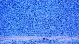 Vaughan Pool Leak Detection - Pool Buoy Corp. Leak Detection