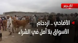 الحديدة | غلاء أضاحي العيد .. ازدحام في الأسواق بلا أمل في الشراء- تقرير: حسام بكري