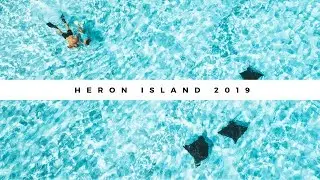 Swimming with sharks, turtles and eagle rays on Heron Island | Australia