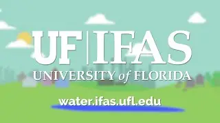 BMAPs for Florida's Water Quality