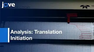 Analysis: Translation Initiation During Stress Conditions By Polysome Profiling l Protocol Preview