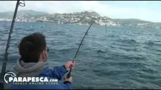 Tuna with a spinning rod  ZENAQ fokeeto twitch / reel shimano stella 5000 FA