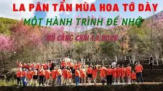 🎊 CHƯƠNG 3 - SẮC XUÂN VÙNG CAO
