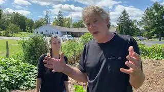 Pruning instructions and plant health for 16 foot zucchini plants