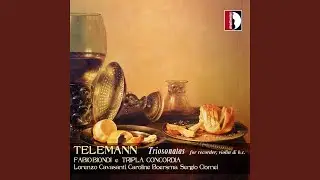 Bassoon Sonata, TWV 41:F1 (Arr. for Flute) : I. Adagio