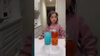 Toddler Egg Density Project: Fun Science Experiment for Kids! Get ready for some hands-on learning