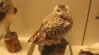 Visit the #1 Museum in Ottawa, Ontario