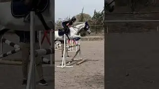 Knees up 🤩🐴 Also back to school 🥲 #gilaryeq #equestrian #girlrider #horseriding #jumping #pony
