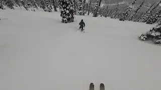 Cariboo Cat Skiing; Valemount, BC