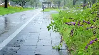 🌧️ FALL ASLEEP FAST Heavy Rain at Lakeside Cabin with Sleeping Pets & Cozy Fire