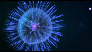 QSC Cinema Trailer:  