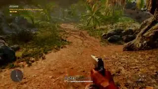 Far cry  5 vaas insanity