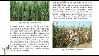 Agriculture chapter in rapid revision!! Quick revision!! ncert quick reading 
