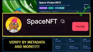 SpaceNFT Bot Basic Setup - Verify by Metadata Attributes and More! (Solana NFTs)