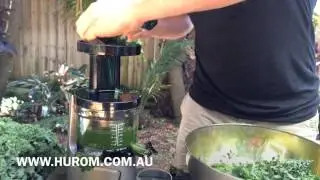 The World's Best Kale Juicer?