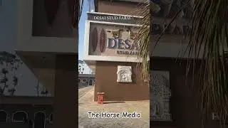 Desai Stud Farm Malsund Patan Gujrat Owner-Nagesh Desai Ji