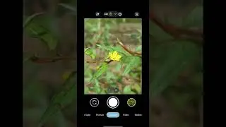 gcam lmc 8.4 riyan xml file