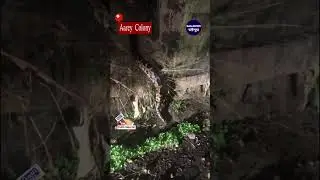 Aarey Colony