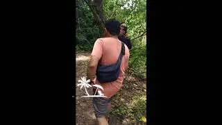 Explore Baluran