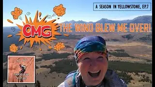 A Very Windy Hike Up Bunsen Peak 🌬️ A Season in Yellowstone, Ep.7