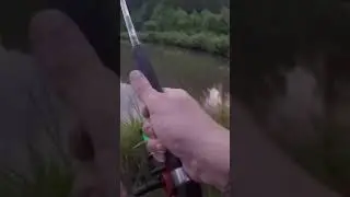 #bass The sound of #drag being pulled #fishing