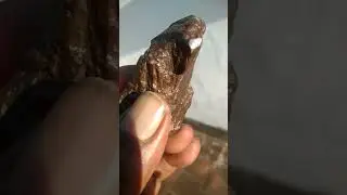 lithium thorite rare stone