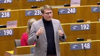 Moritz K&ouml;rner 19 Oct 2020 plenary speech on Digital services and Artificial intelligence