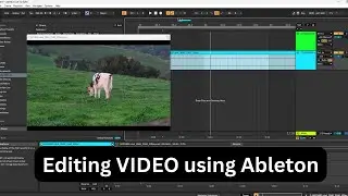 How to Edit Video in Ableton Live (Tutorial)