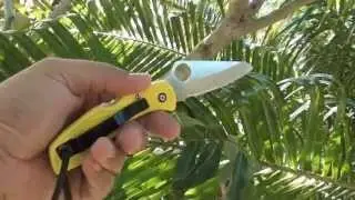 entaglement rescue cut test - Spyderco SALT-1