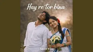 Hay re tor bina