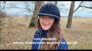 Fohlengeburt: Wie viel Einmischung braucht die Natur?