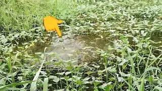 Rejeki Mancing hari ini banyak strike #mancingmania #spotrawarawa #ikanmujair