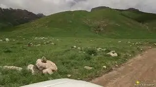 30.5.2024 FIREŞÎN