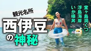 【西伊豆】洞窟クルーズが想像以上だった…大人の海旅