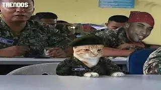 ПОПРОБУЙ НЕ ЗАСМЕЯТЬСЯ, ТЕСТ НА ПСИХИКУ, TRENDOS/ТРЕНДОС
