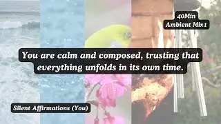 Patience | Silent Affirmations (You/40min/Ambient) | Mix1