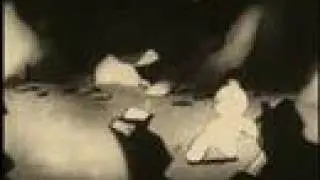 tom puss das geheimnis der grotte teil 1 der zouberer