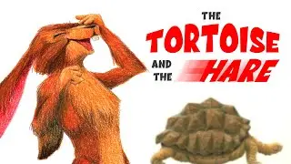 The Tortoise and the Hare | The Song of the Century