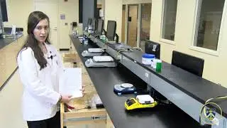 Intro To Compounding Lab