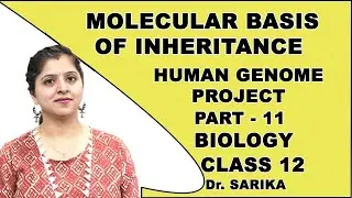 Molecular Basis Of Inheritance | Class 12 Biology | Human Genome Project | CBSE | NCERT