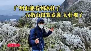 在广州真的没想到也能看到冰挂，从化五指山已银装素裹，太壮观了