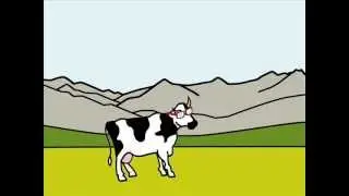 La vaca estudiosa