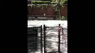Theodore Roosevelt Park Dog Run Bull Moose in nyc from DogSpin